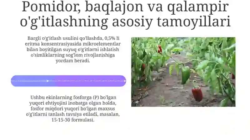 Sabzavotning o'g'itilishi 4