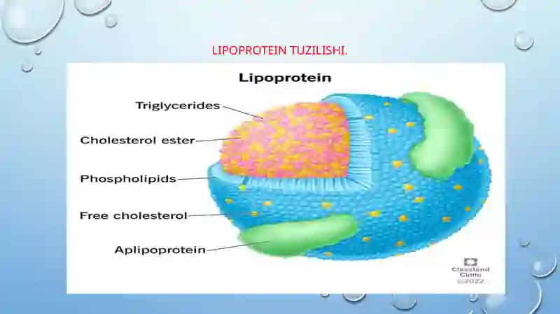 DISLIPOPROTEIN TURLARI 4