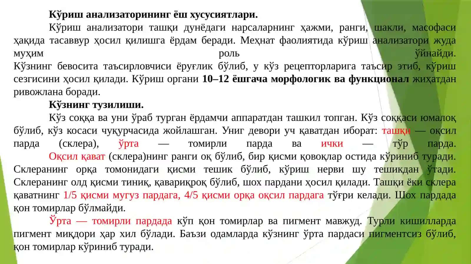 Анализаторларнинг ёшга хос хусусиятлари ва гигиенаси 4
