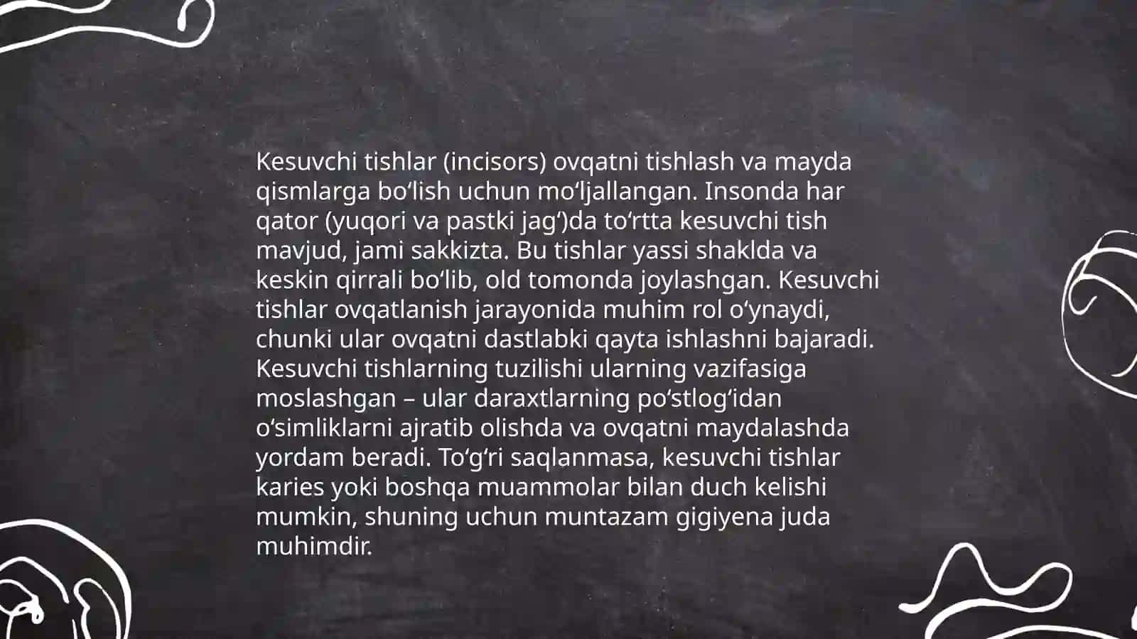 Kesuvchi tishlar anatomyasi 4