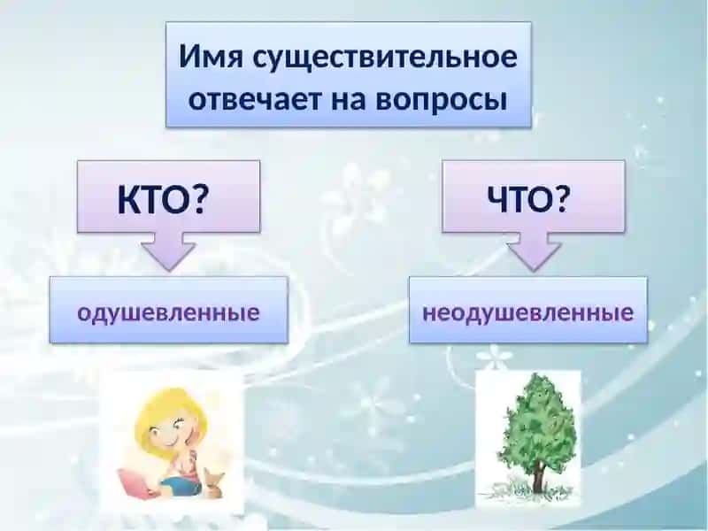 Имя существительное как часть речи 4