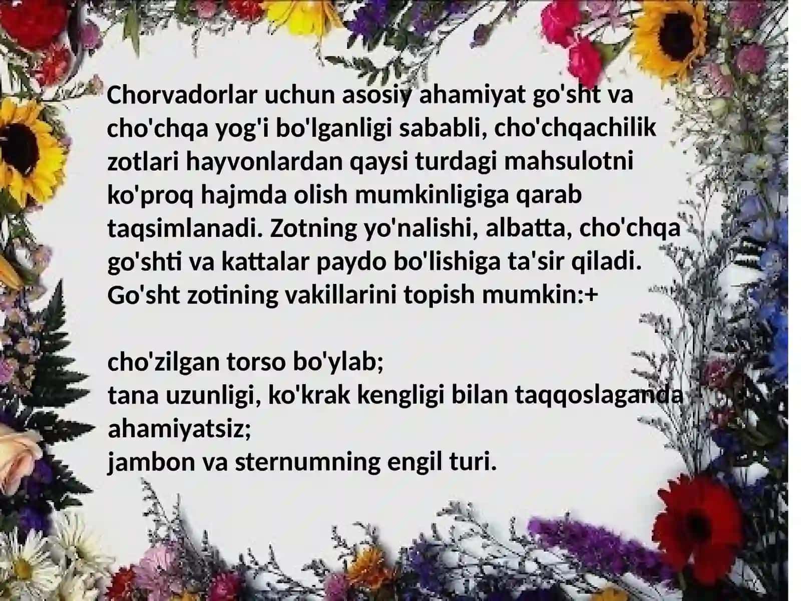 Cho'chqachilik 4