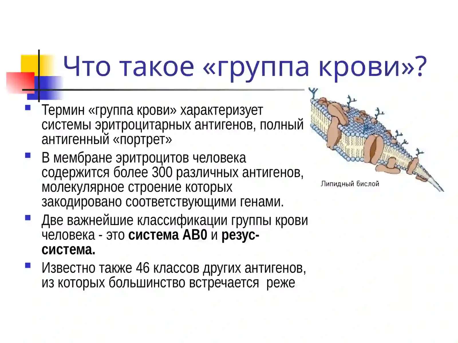 Иммуногенетика 4