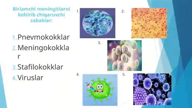 MENINGITLAR 4