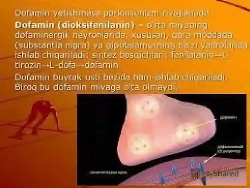 Dofamin va dofaminergik vositalar 4