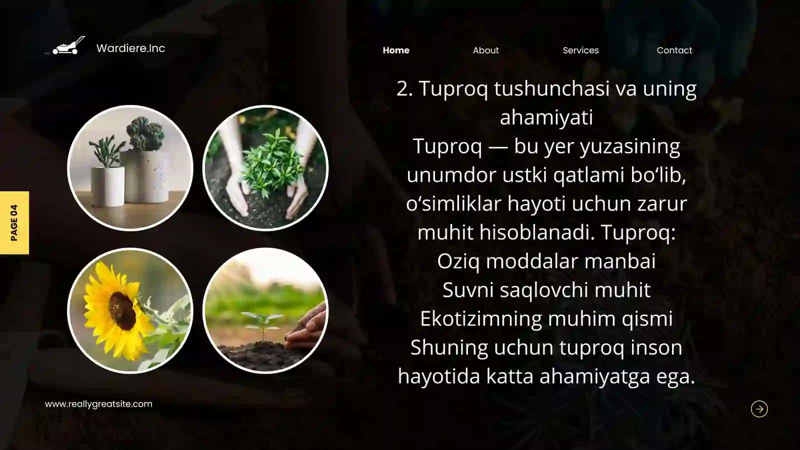 Tuproqlar geografiyasining shakllanish tarixi 4