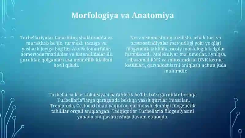 Turbellariyalar filogeniyasi 4