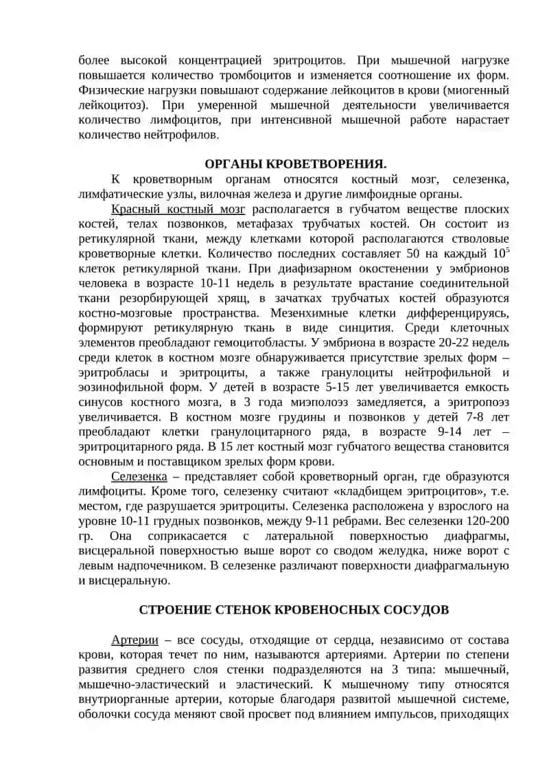 ОБЩАЯ АНАТОМИЯ СЕРДЕЧНО-СОСУДИСТОЙ СИСТЕМЫ. СЕРДЦЕ, МАЛЫЙ КРУГ КРОВООБРАЩЕНИЯ 4