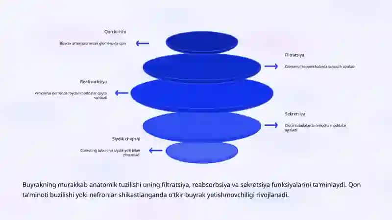 O'tkir Buyrak Yetishmovchiligi Propedevtikasi 4