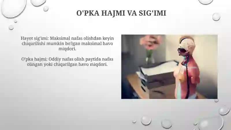 Nafas fizyologydi 4