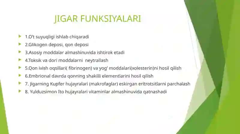 Jigar 4