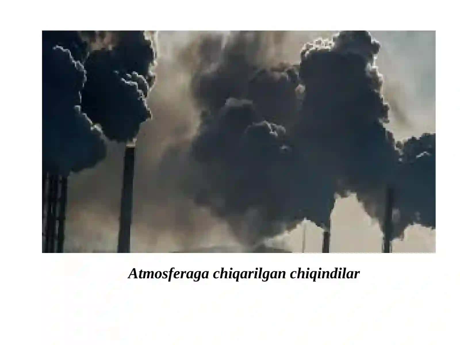 Yer resurslari. Biologik resurslar. Yer osti boyliklari. Chiqindilar muammosi va ularni ekspert baholash 4