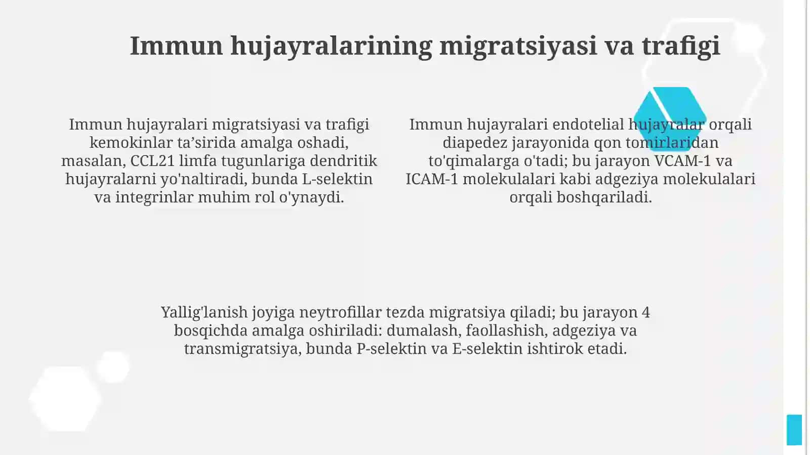 Immun himoya reaksiyalarining morfologilasoslari 4