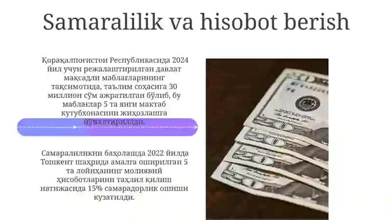 Davlat maqsadli jamģarmalari 4