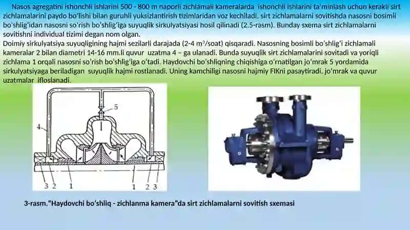 Nasos soksining yordamchisi zimlari 4