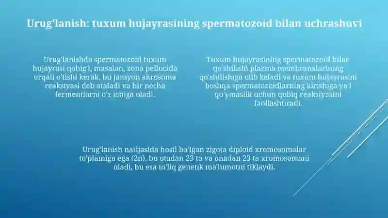 Ummumiy embriologiya asoslari 4