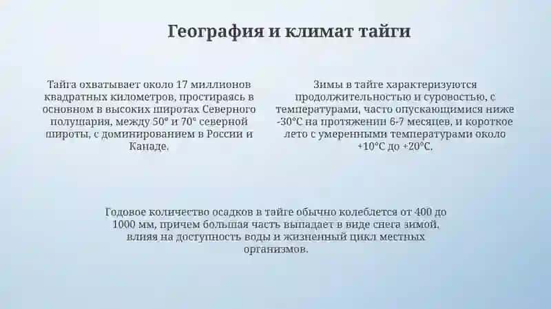 Поездка в Таежный лес 4