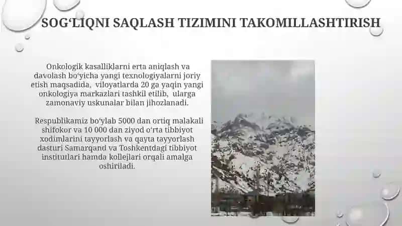 Oʻzbekiston-2030 taraqqiyot strategiyasi 4