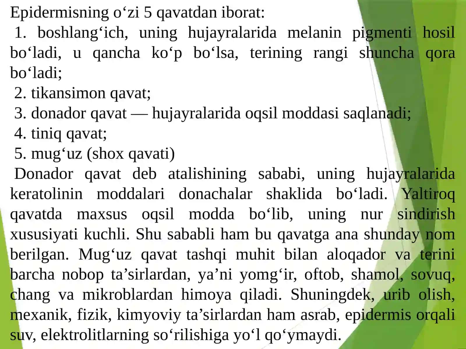 Terining tuzilishi va gigienik talablar 4