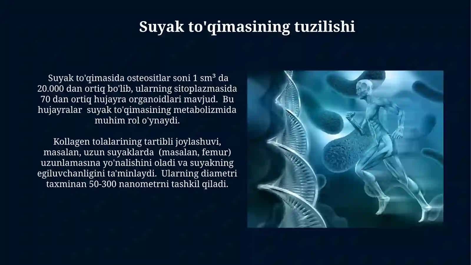 Suyak to‘qimalarining minerallashuvi,uning tartibga solinishi va buzilishlari 4