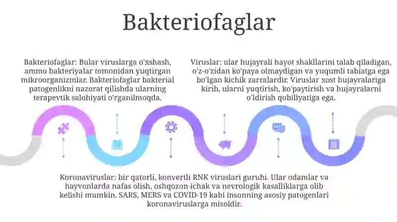 Viruslar,Bakteriofaglar Morfologiyasi,Strukturasi,Reproduksiyasi 4