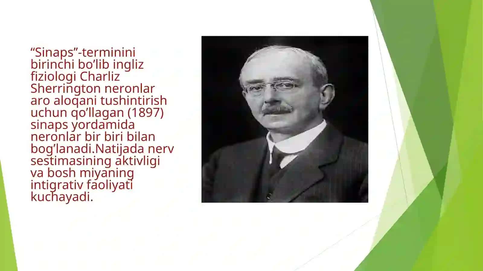 Sinapslar turlari tuzilishi va ishlash mexanizmlari 4