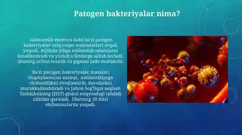 Patogen Bakteriyalar 4