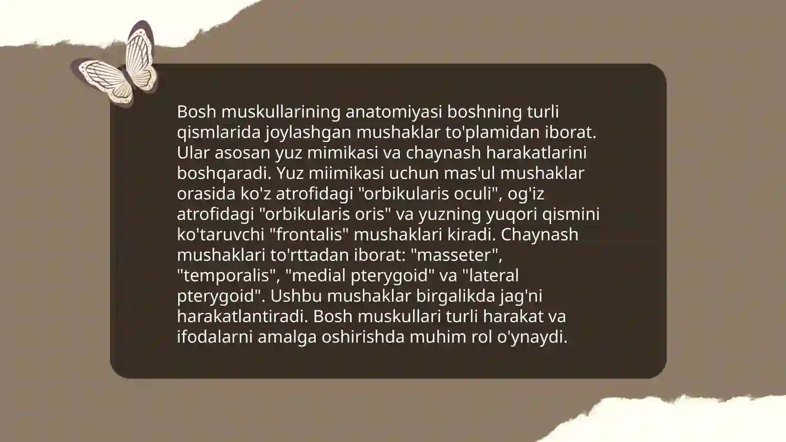 Bo‘yin va bosh mushaklari.Bo‘yin uchburchaklari va fatsiyalari 4