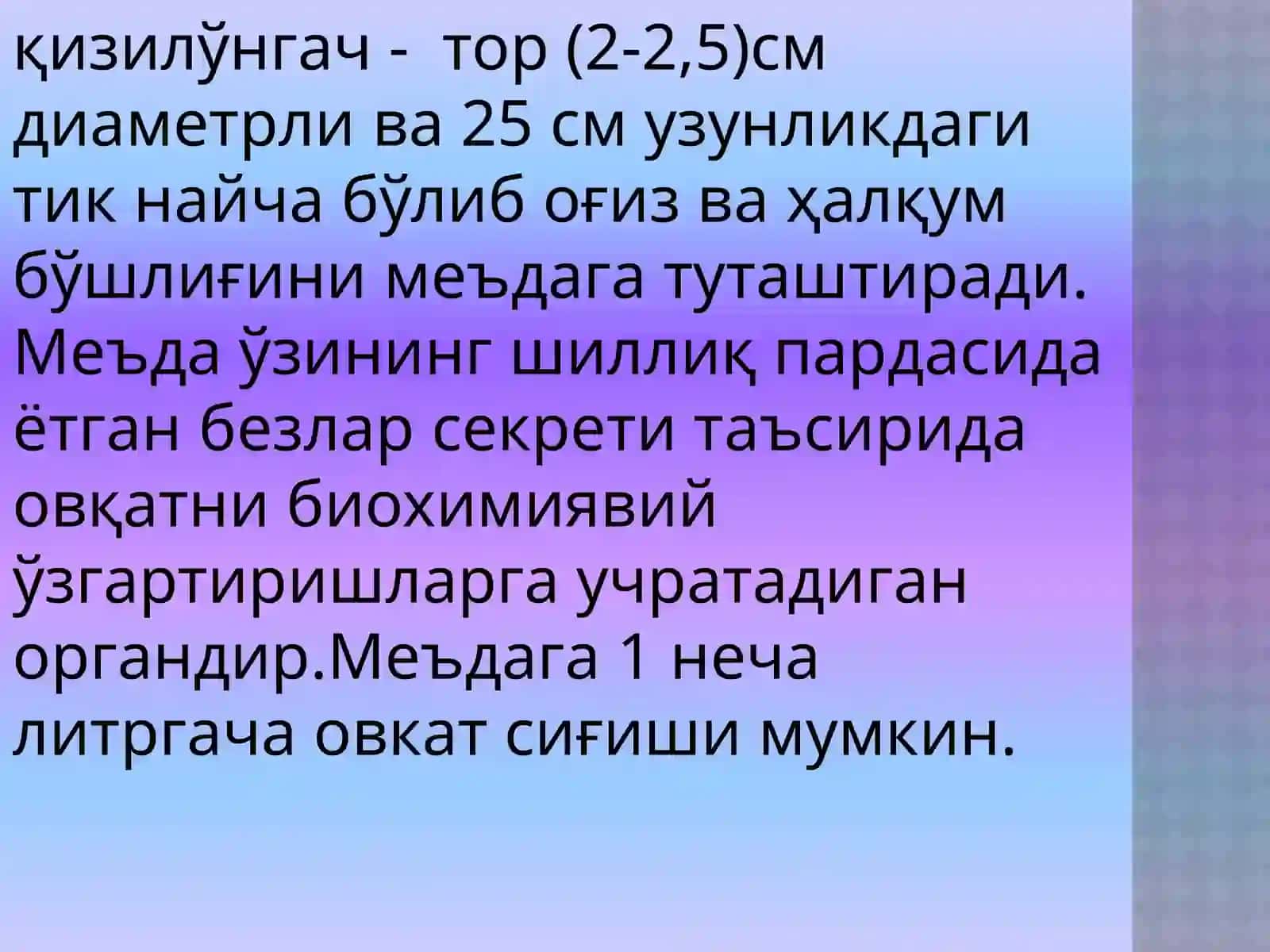 Овқатхазмқилишсистемасини текшириш 4