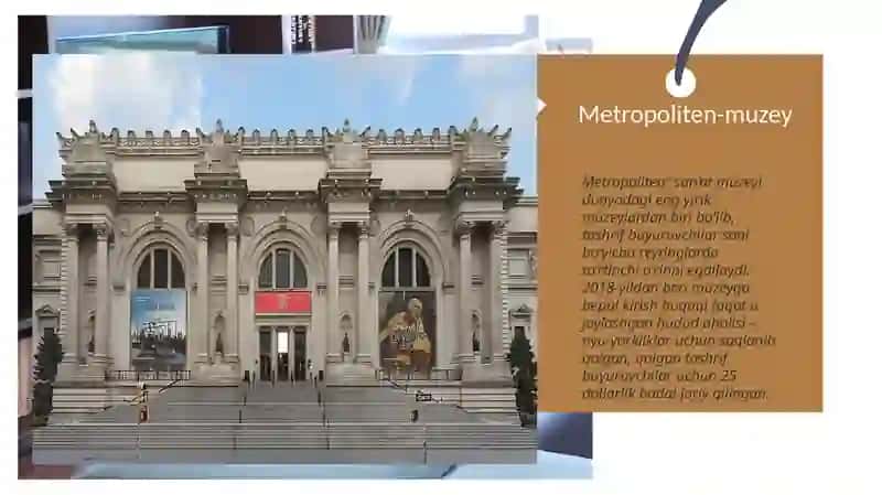 New York Metropoliten Muzeyi 4