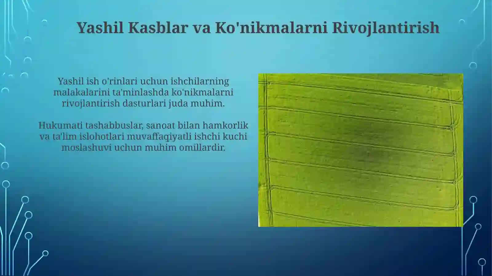 Yashiliqtisodiyotgaoʻtishxorijtajribasi 4