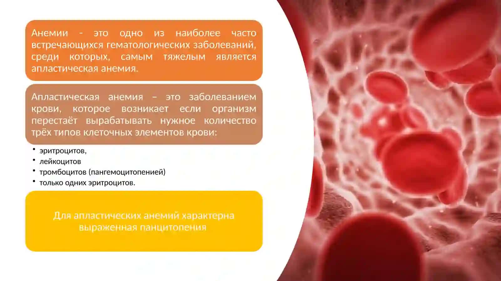 Aplastik anemiya diagnostikasi va davolash 4