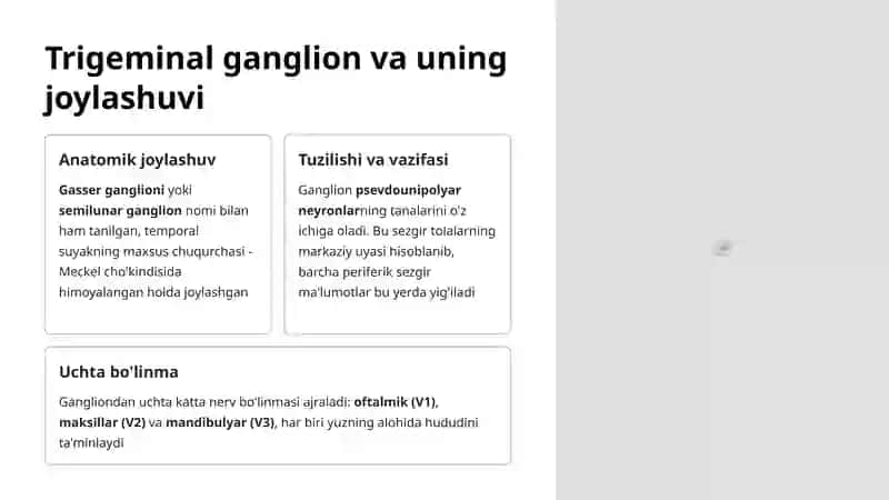 Trigeminal Tizim Anatomiyasi 4