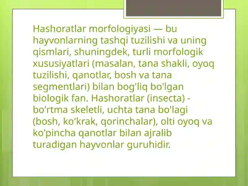 Entomologi. Hasharotlar morfologiyasi 4