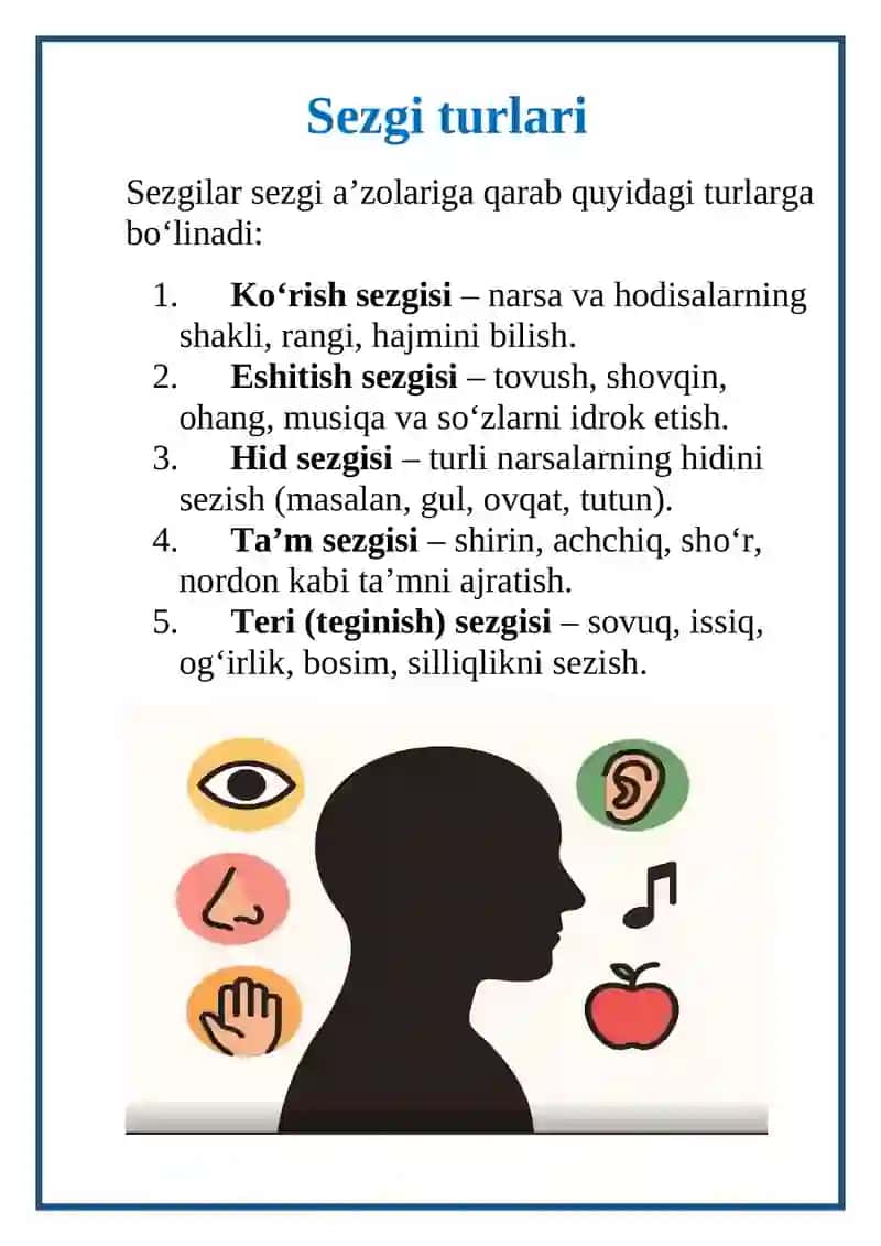 Sezgi 4