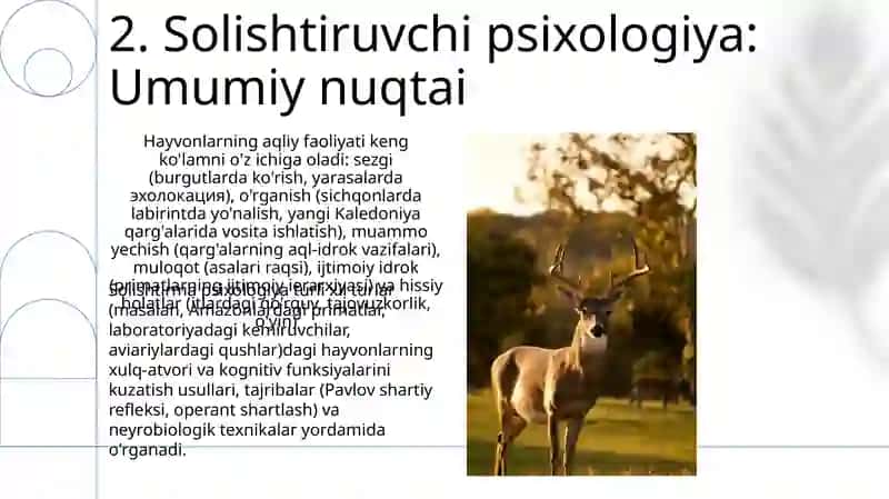Zoopsixologiya va qiyosiy psixologiyaga kirish 4
