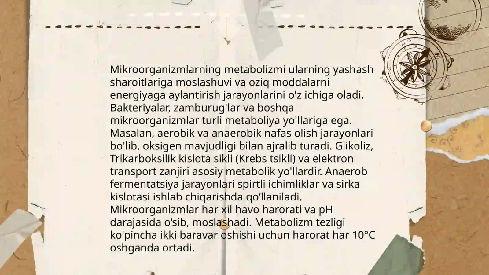 Mikroorganizmlar fiziologiyasi 4
