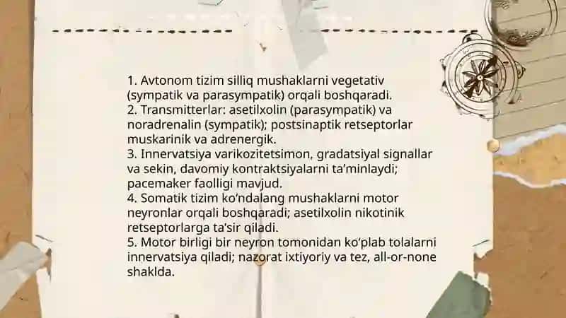 Silliq va koʻndalang targʻil mushaklar,fiziologik farqlari 4