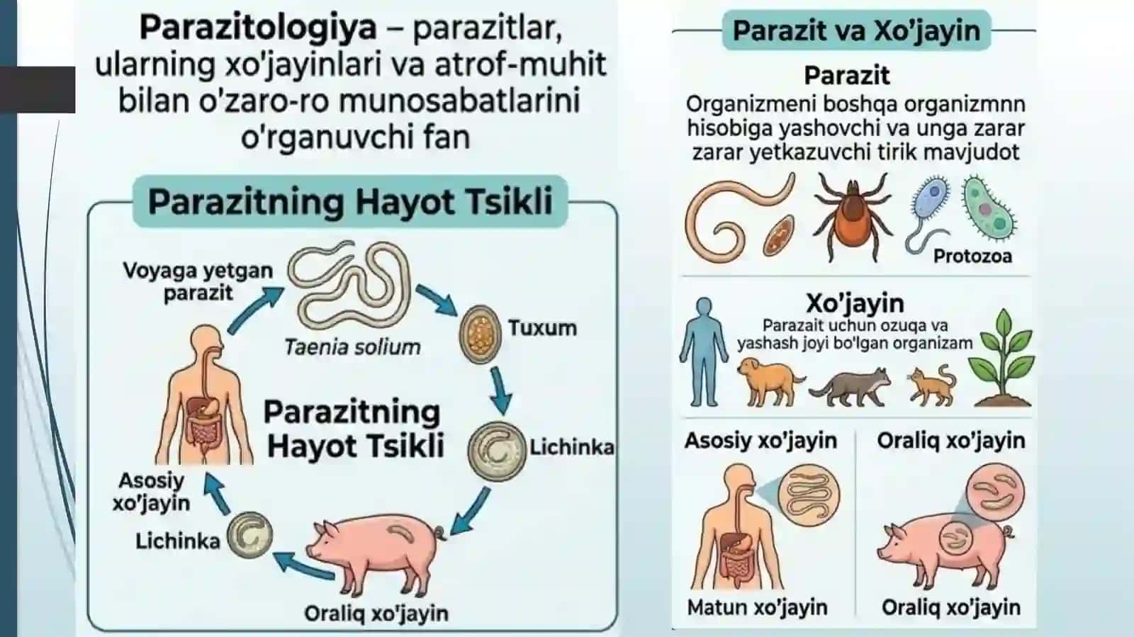 Parazitologiyaningbiologikasoslari 4