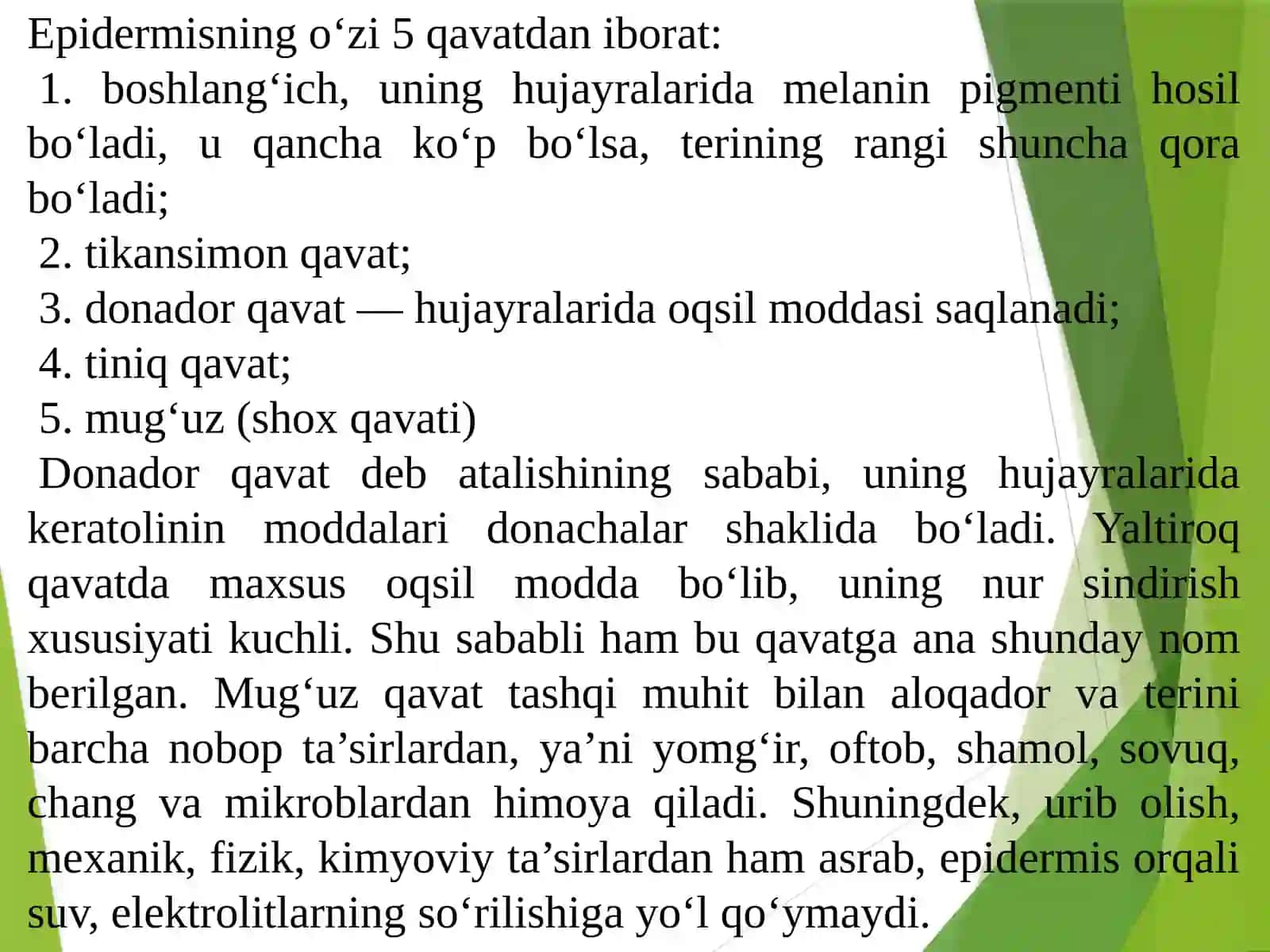 Terining tuzilishi va gigienik talablar 4