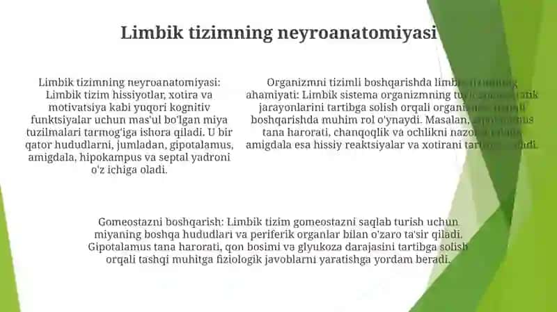 Organizmning Sistemali Boshqarilishida Limbik Tizimning Axamiyati 4