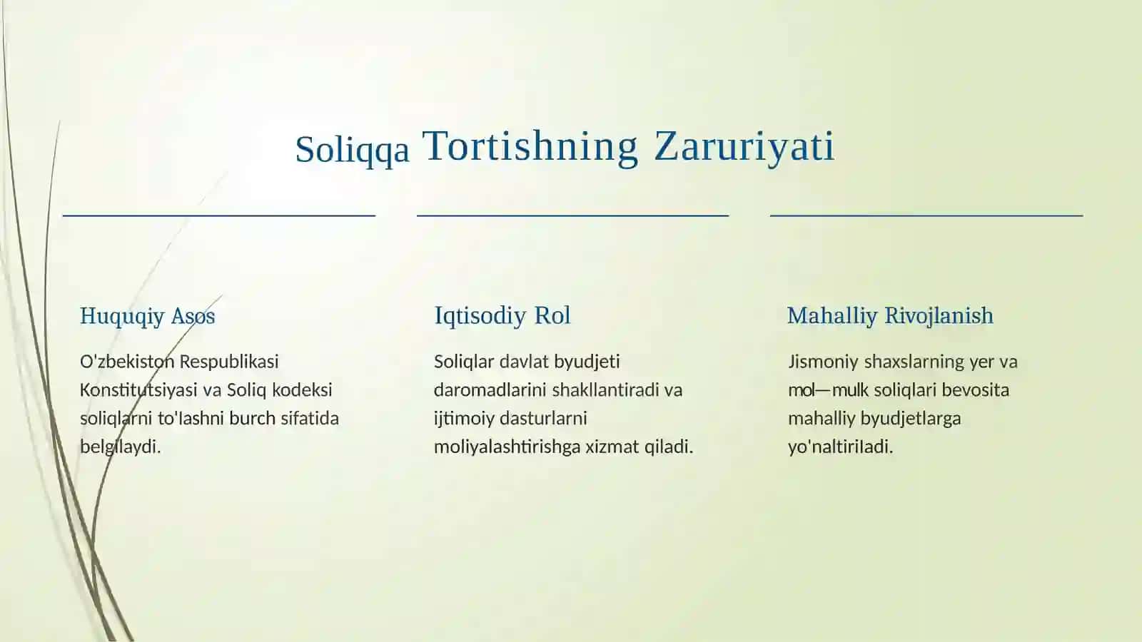 Soliq organlari bilan munosabatlarda jismoniy shaxslarning murojaat qilish huquqi amaliy tartiblar 4
