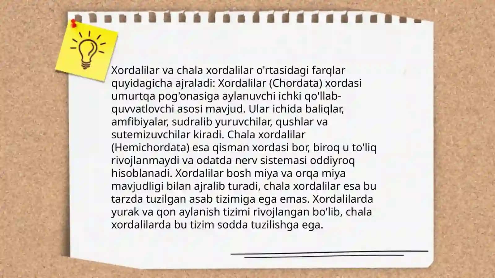 Chala xordalilar tipining umumiy xarakteristikasi 4