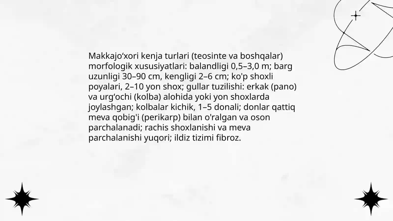 Makkajoʻxori kenja turlari va yuqori sistematikasi, morfologiyasi,sholi oʻsimligi sistematikasi morfologiyasi 4