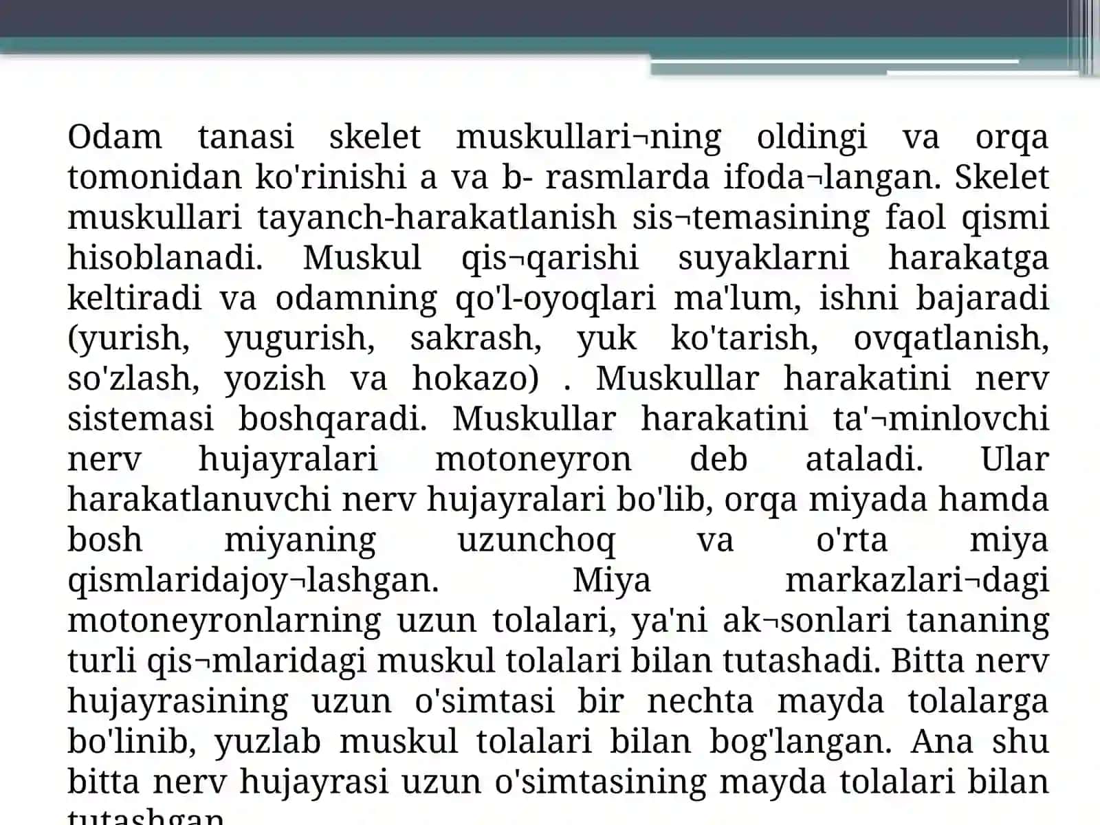 Tanamuskullari 4
