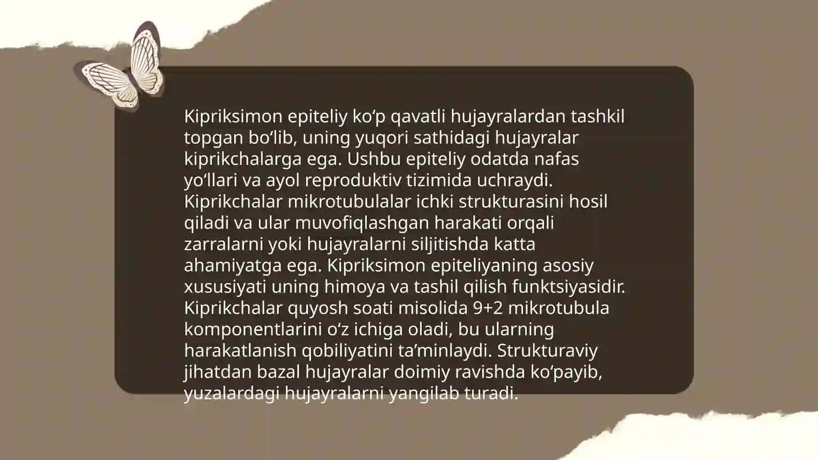 Bir qavatli koʻp qatorli silindrsimon kiprikli epiteliy 4