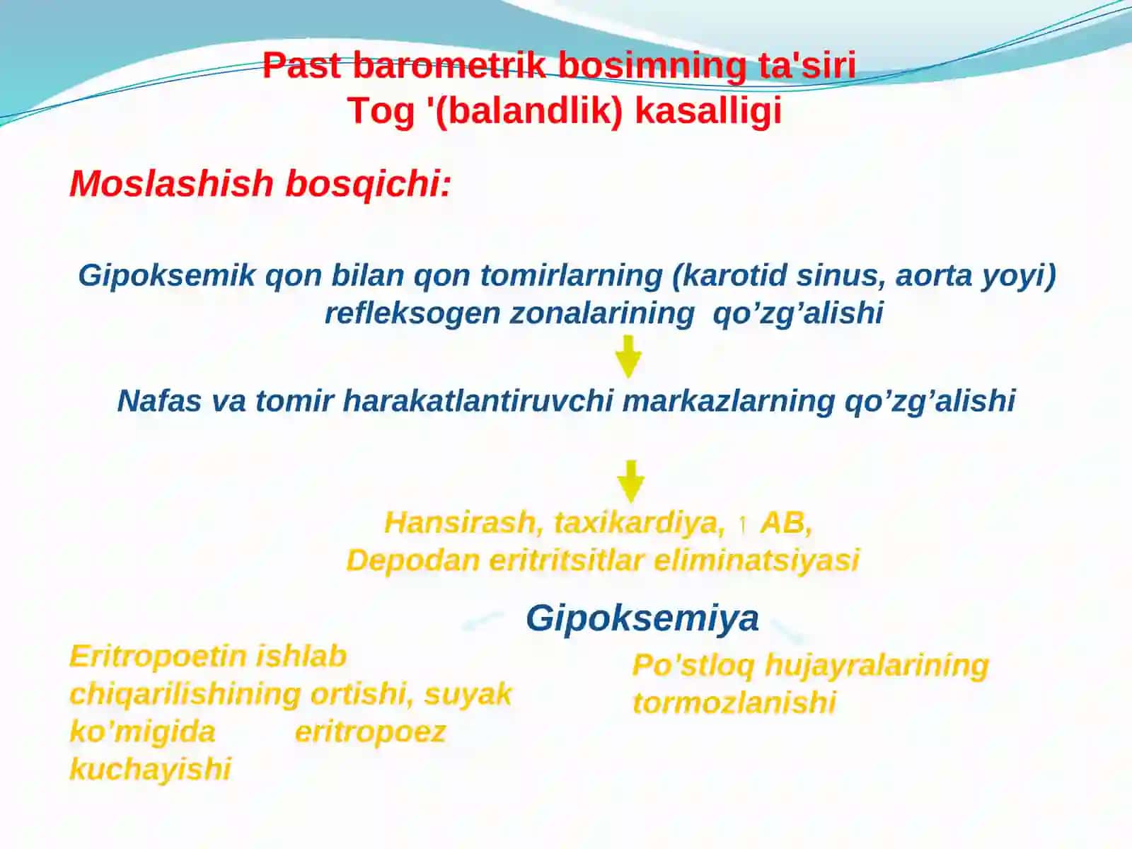 Tog '(balandlik) kasalligi 4