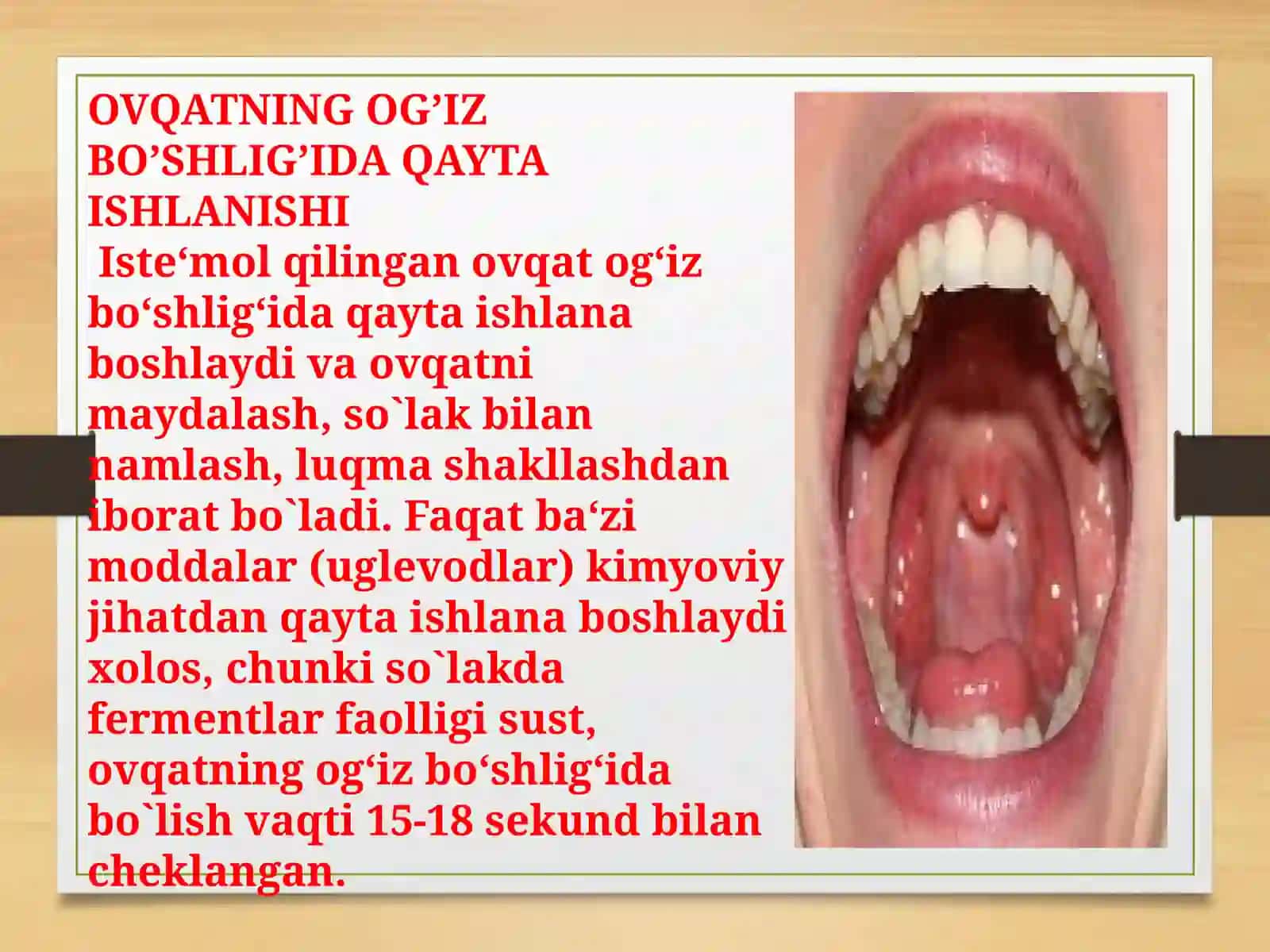 Hazm tizimining motor faoliyati. Oģiz bòshliģi va medada ovqat hazm bòlishi. 4