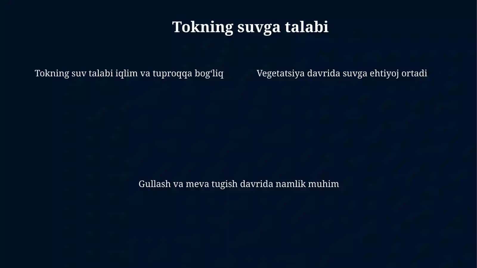 Tokzornisugʻorish 4