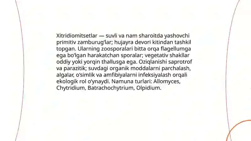 Zamburug‘lar bo‘limining asosiy sinf vakillarini o‘rganish 4